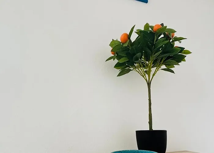 T3 Center Menton- Parking 芒通